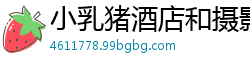 小乳猪酒店和摄影师啪啪.国产裸聊